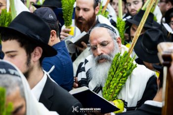 רמזים במצוות ארבעת המינים